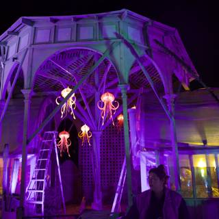 Enchanted Evenings at Garden of D'Lights
