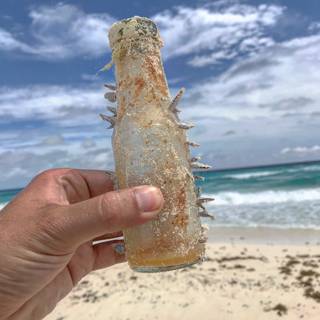 Refreshing Drink on Cancun Beach