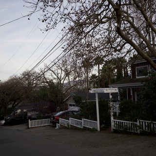 Quiet Residential Street at Dusk with Bare Trees