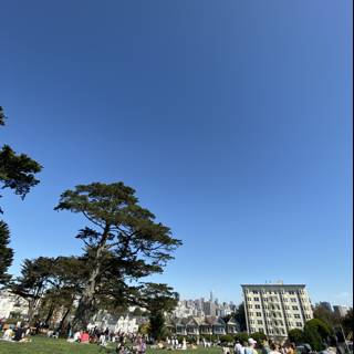A Peaceful Afternoon in Alamo Square