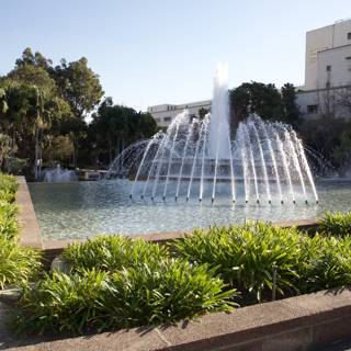 Beauty of the Fountain in the Park