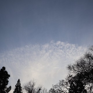 Twilight Sky with Silhouetted Trees and Wispy Clouds