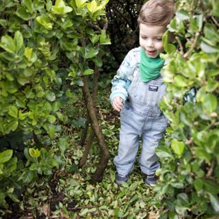 Serenity in Green: Young Explorer Amidst the Foliage