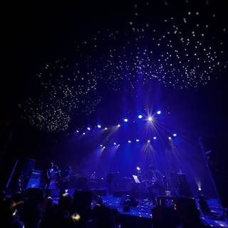 Stellar Night Concert