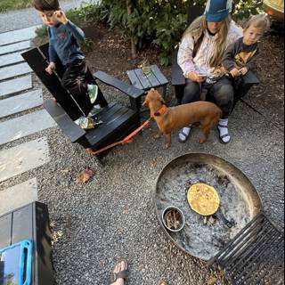 Morning Moments in Guerneville