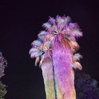 Enchanted Palms in Vibrant Light