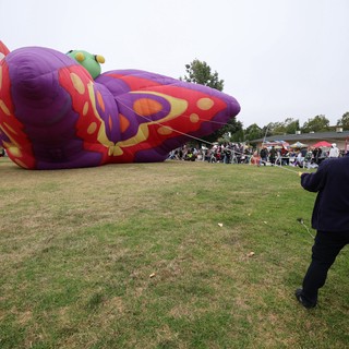 Butterfly Balloon Inflation at Sonoma County Classic