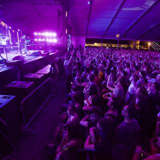 Purple Spotlight at Coachella Concert