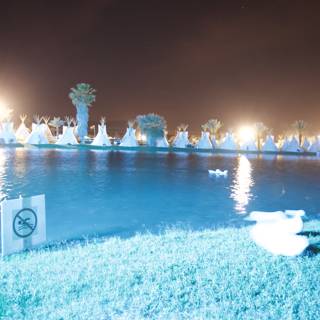 Nighttime Ducks in the Lagoon
