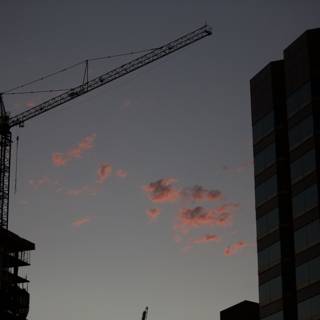 Towering Crane in the Setting Sun