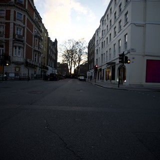Quiet London Street at Dawn with Bare Tree