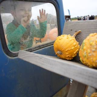 Harvest Joyride