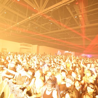 Massive Crowd Surges at Wobbleland 2026 Festival