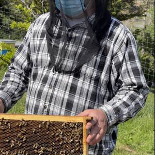 Beekeeping Man in Carmel