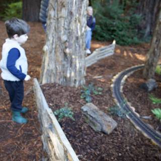 Exploring the Enchanted Woodland