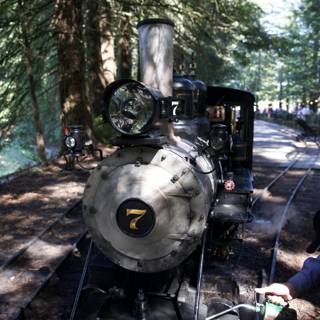 Steam and Whistles: A Day at Tilden Steam Trains