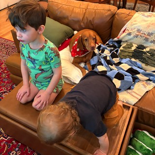 Children and Dog Enjoying Cozy Living Room Moment
