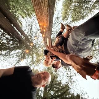 Among Giants: A Moment in the Grove
