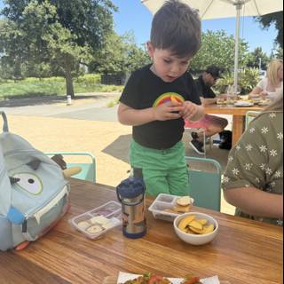 Summer Lunch in Napa