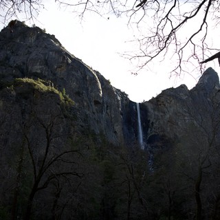 Yosemite Falls Through Bare Winter Branches