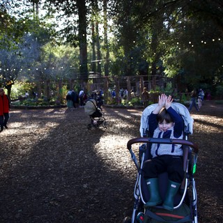 Public park or nature preserve during a family festival