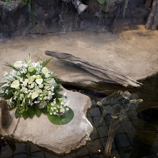Memorial Floral Arrangement in Naturalistic Zoo Habitat
