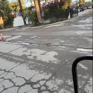 Urban Tranquility in Indio