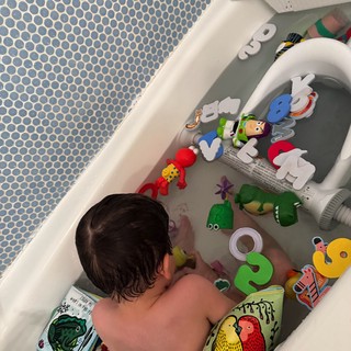 Bath Time Play with Colorful Toys and Books