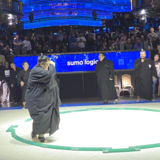 The Masterful Sumo Wrestler