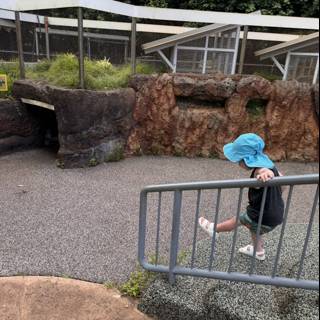 Exploring the Honolulu Zoo