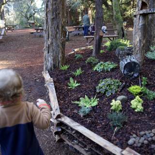 Woodland Wonders at Thistlewyck