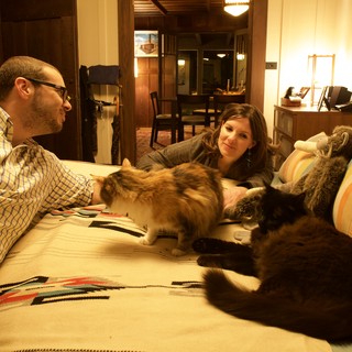 Couple Relaxing on Couch With Multiple Cats