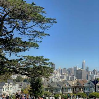 The Painted Ladies Against a Blue Sky