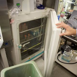 Refrigerating specimens at UCLA laboratory