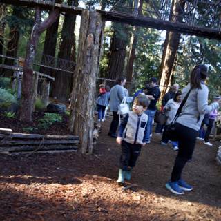 Exploring the Enchanted Woods