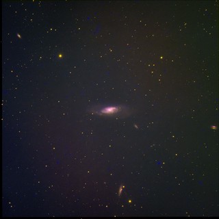 M106 Galaxy in Narrowband SHO Palette - Deep Space Astrophotography