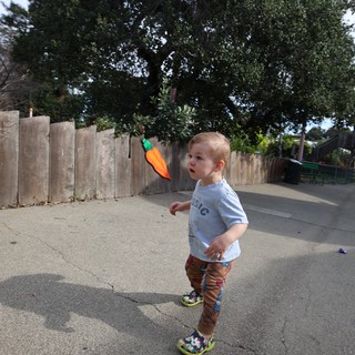 Young Child Playing with Toy in Backyard