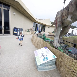 Child Exploring Dinosaur Exhibit at Modern Museum