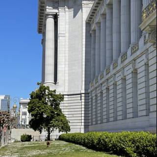 San Francisco City Hall and its Serene Surroundings