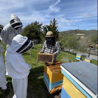 Beekeepers in Action