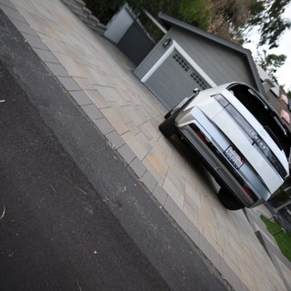 Brown Dog's Enthusiastic Wide-Angle Portrait on Suburban Driveway