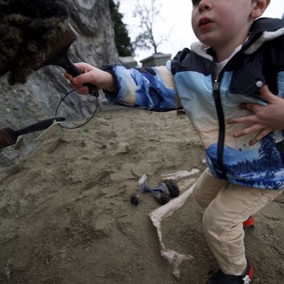 Young Boy Explores Sandy Beach at Low Tide