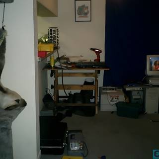 Hanging Cat in a Room with Electronics and Art