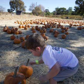 The Great Pumpkin Hunt