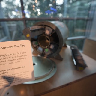 Avian Development Facility Space Egg Incubator Exhibit