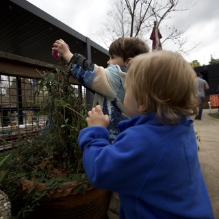 Children Decorating Community Garden Together Outdoors