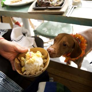 Puppy's Lunch Outing: A Hi-Li 5th Birthday Celebration