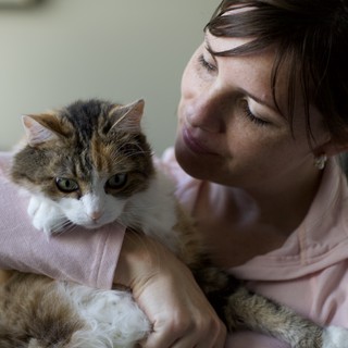 pet-portrait