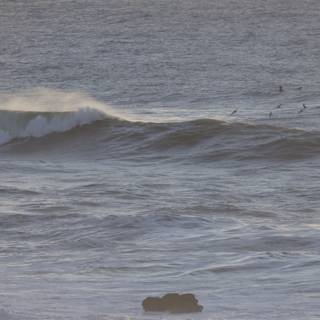 Conquering the Wave: December Surf at Mavericks