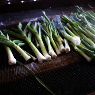 Embracing Sustainable Agriculture - Washing Green Onions